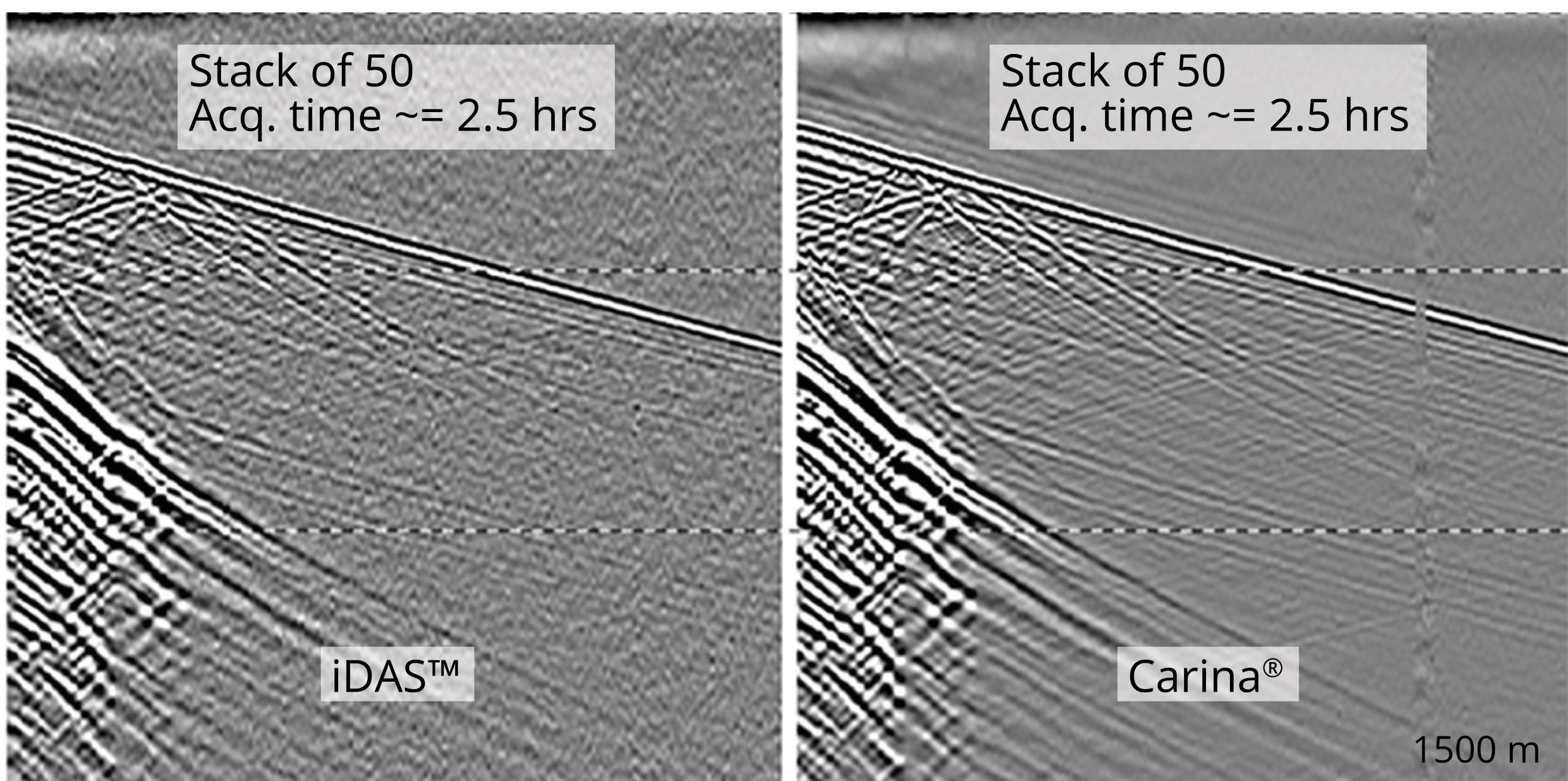 DAS and Carina seismic